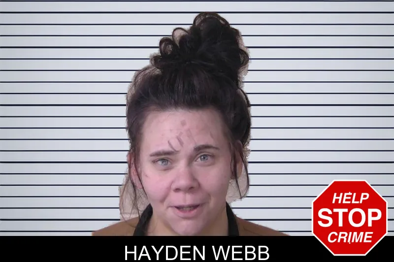 Hayden Webb mugshot