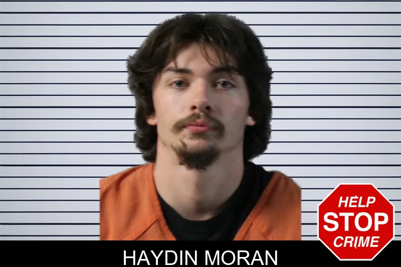 Haydin Moran mugshot – Lumpkin County , Georgia Haydin Moran mugshot