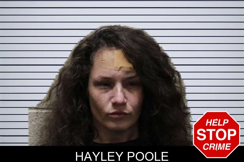 Hayley Poole mugshot – Haralson County , Georgia Hayley Poole mugshot
