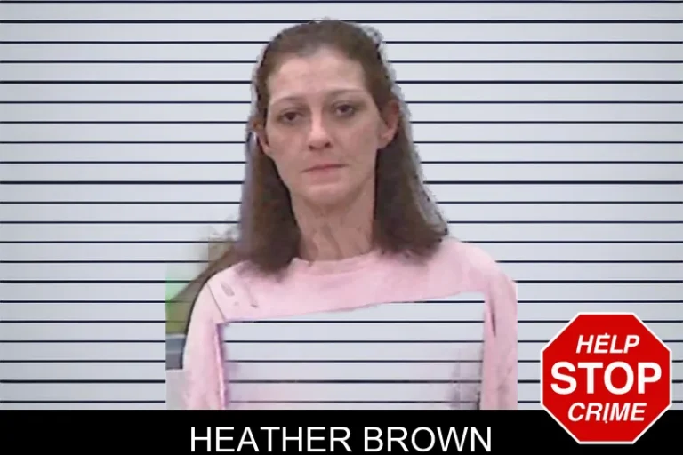 Heather Brown mugshot – Screven County , Georgia Heather Brown