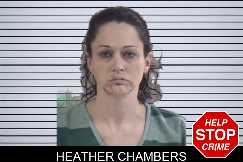 Heather Chambers mugshot – Whitfield County , Georgia Heather Chambers mugshot