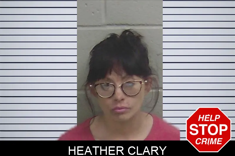Heather Clary mugshot