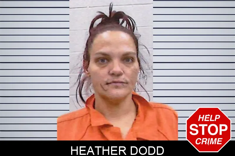 Heather Dodd mugshot – Screven County , Georgia Heather Dodd mugshot