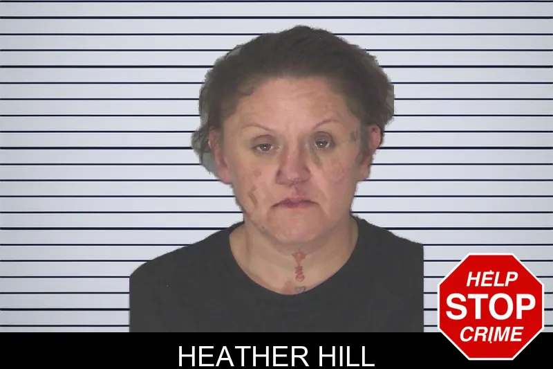 Heather Hill mugshot – Douglas County , Georgia Heather Hill mugshot
