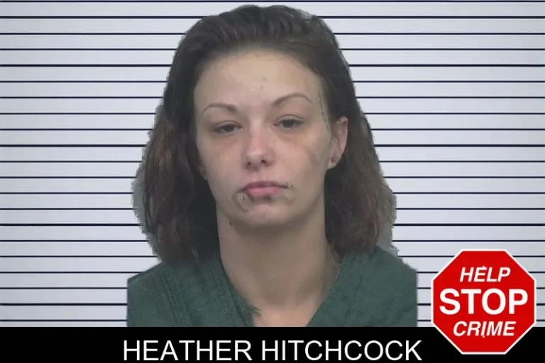 Heather Hitchcock
