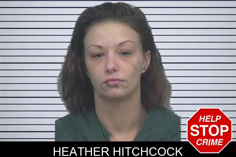 Heather Hitchcock mugshot