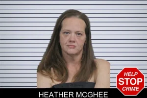 Heather McGhee mugshot