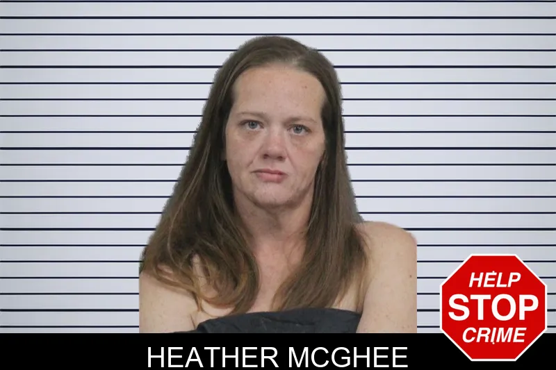 Heather McGhee mugshot