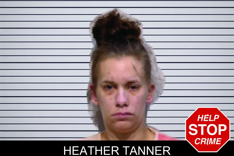 Heather Tanner mugshot – Bartow County , Georgia Heather Tanner mugshot