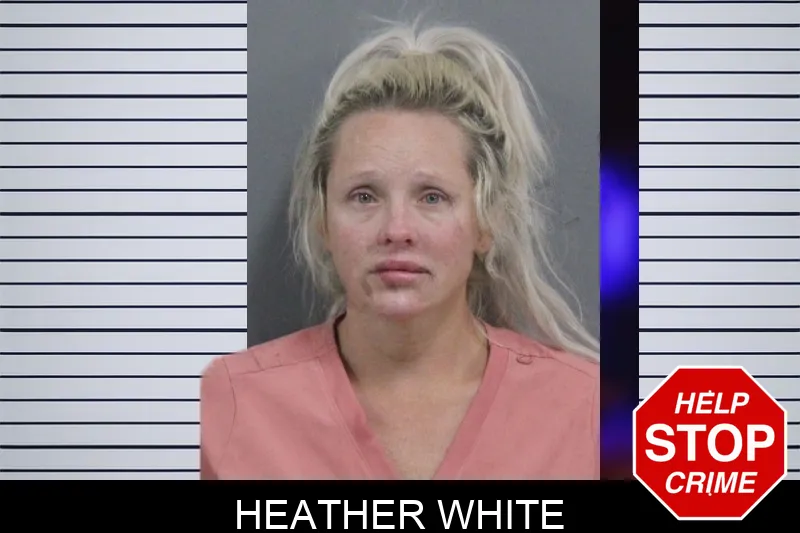 Heather White mugshot – Catoosa County , Georgia Heather White mugshot