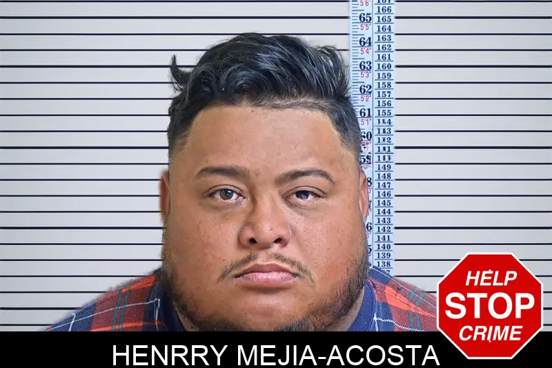 Henrry Mejia-Acosta mugshot – Gwinnett County , Georgia Henrry Mejia-Acosta mugshot