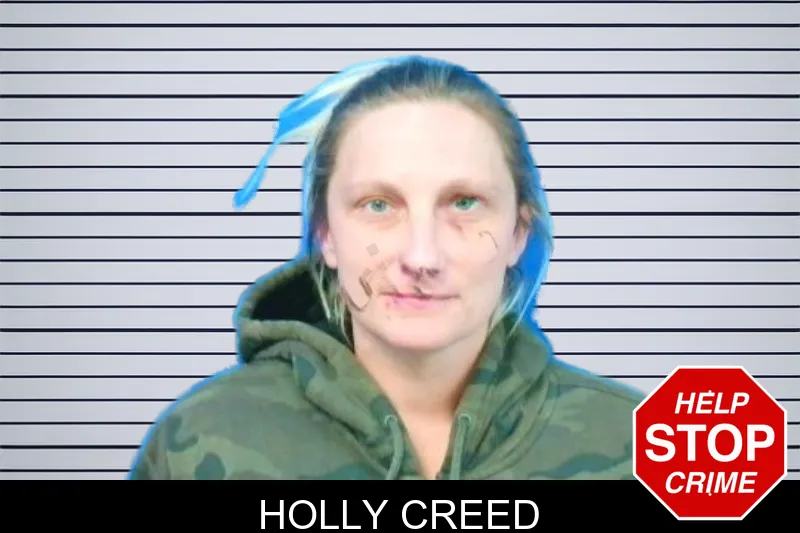 Holly Creed mugshot – Troup County , Georgia Holly Creed mugshot