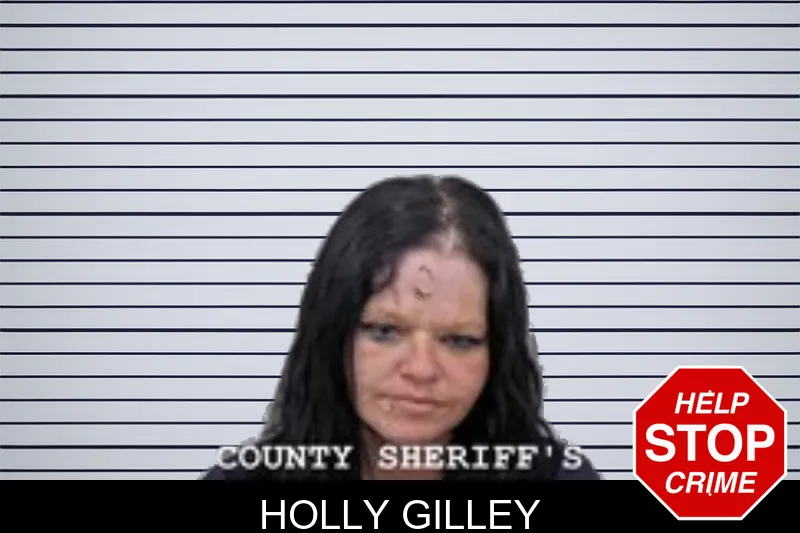 Holly Gilley mugshot