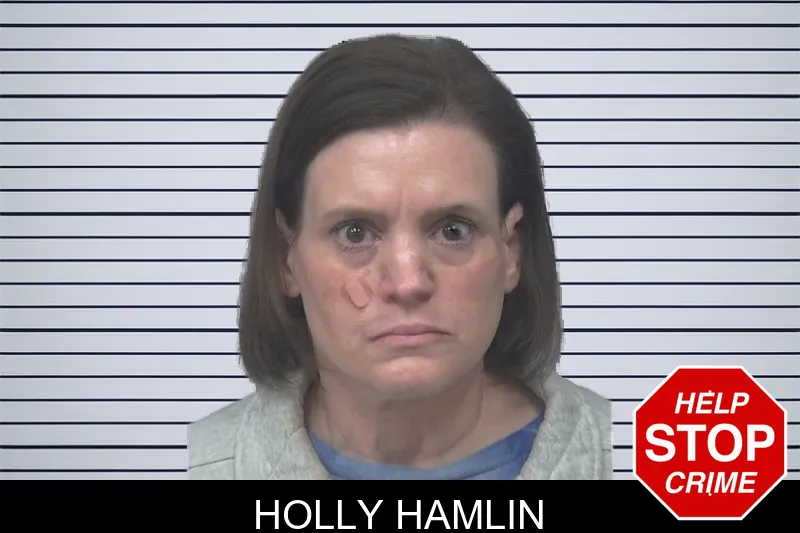 Holly Hamlin mugshot