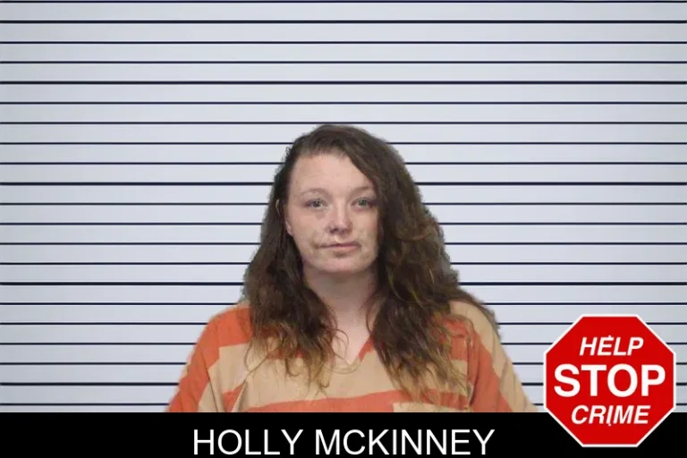 Holly McKinney mugshot – White County , Georgia Holly McKinney