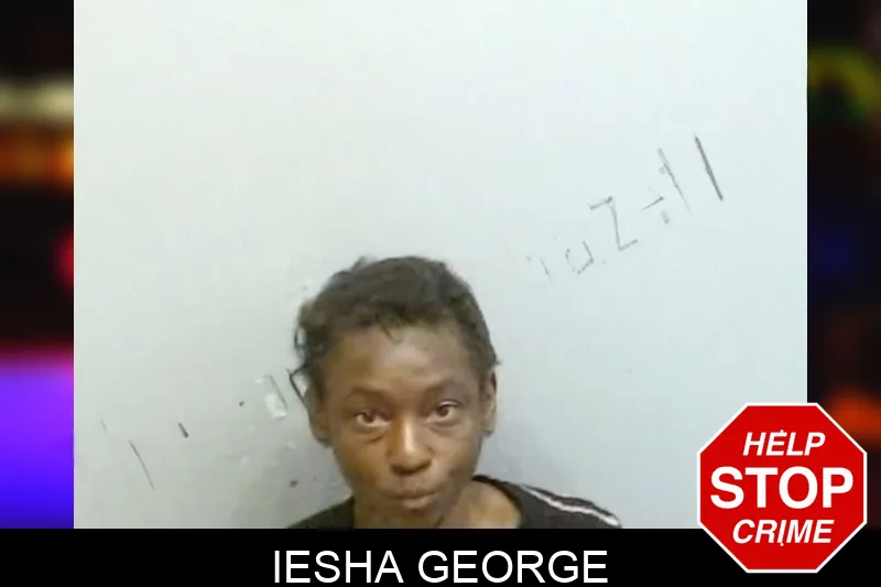 Iesha George mugshot