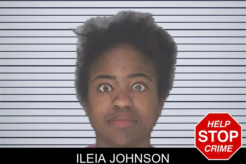 Ileia Johnson mugshot – Douglas County , Georgia Ileia Johnson mugshot