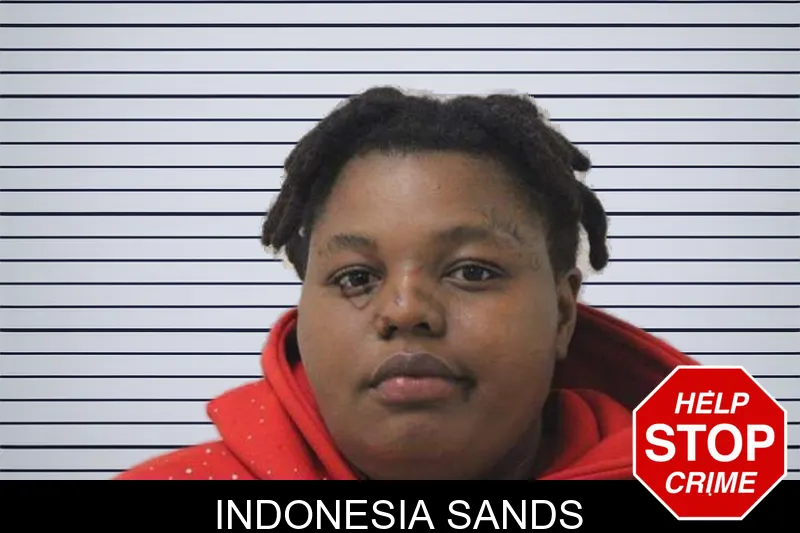 Indonesia Sands mugshot – Jones County , Georgia Indonesia Sands mugshot