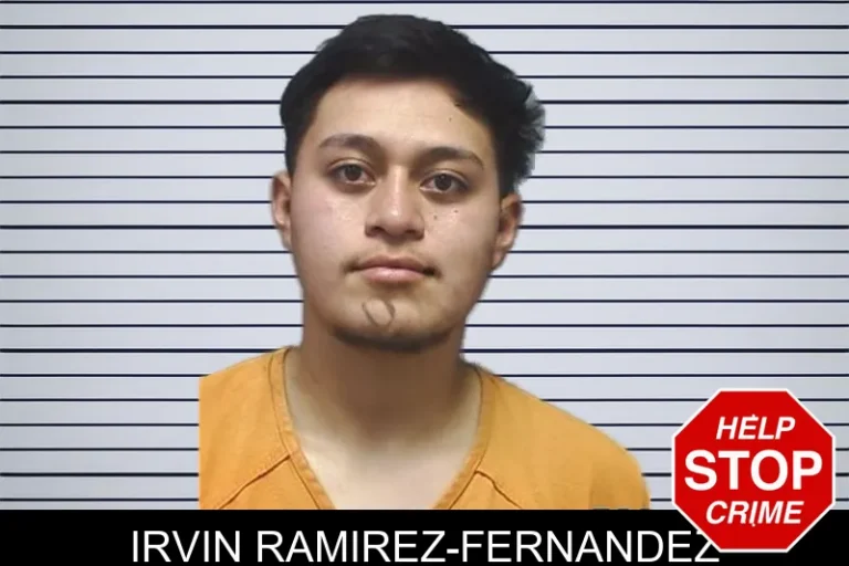 Irvin Ramirez-Fernandez