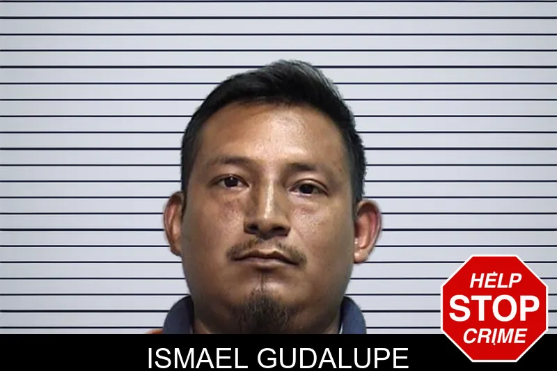 Ismael Gudalupe mugshot