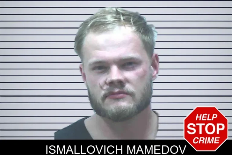 Ismallovich Mamedov mugshot – Jackson County , Georgia Ismallovich Mamedov