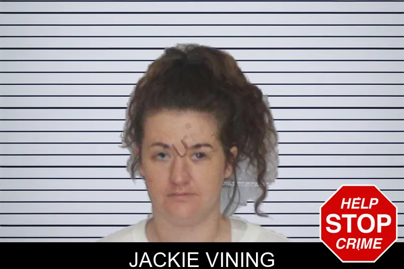 Jackie Vining mugshot