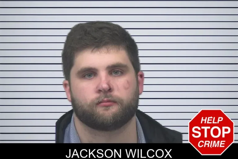 Jackson Wilcox