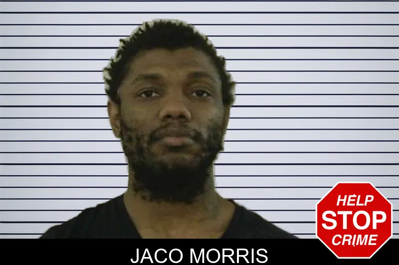 Jaco Morris mugshot
