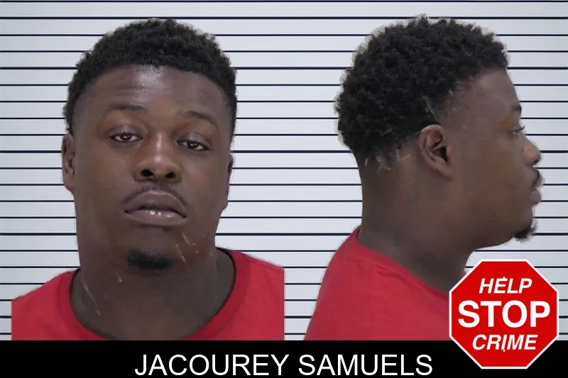 Jacourey Samuels mugshot