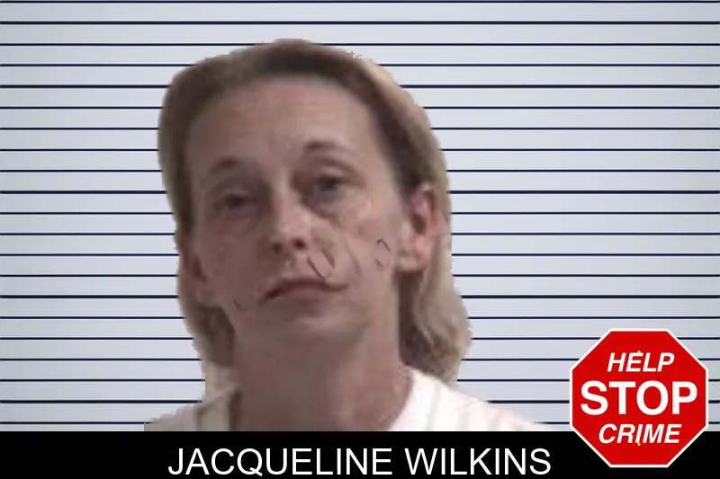Jacqueline Wilkins mugshot