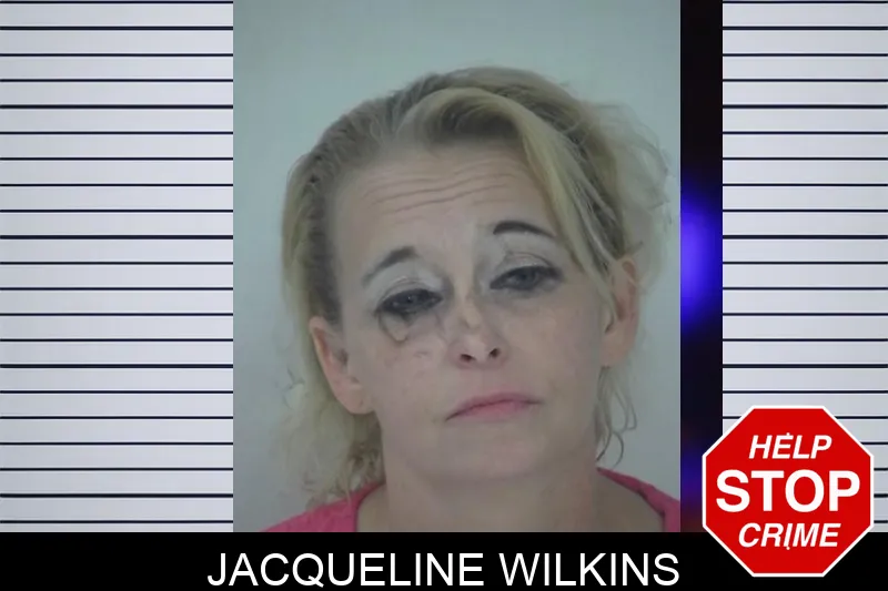 Jacqueline Wilkins mugshot