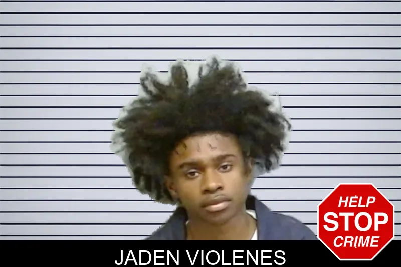 Jaden Violenes mugshot – Fulton County , Georgia Jaden Violenes mugshot