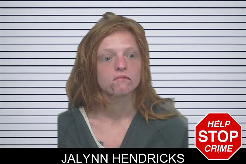 Jalynn Hendricks mugshot – Gwinnett County , Georgia Jalynn Hendricks mugshot