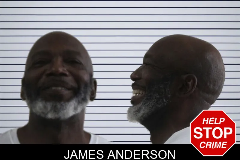 James Anderson mugshot – Houston County , Georgia James Anderson mugshot