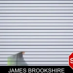 James Brookshire mugshot