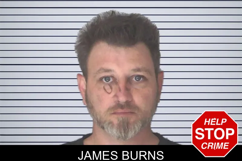 James Burns mugshot – Douglas County , Georgia James Burns mugshot