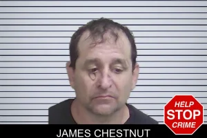 James Chestnut mugshot