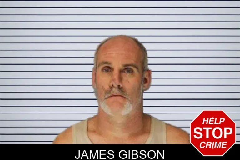 James Gibson