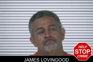 James Lovingood mugshot