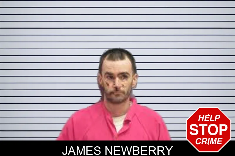 James Newberry mugshot