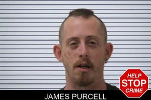 James Purcell mugshot