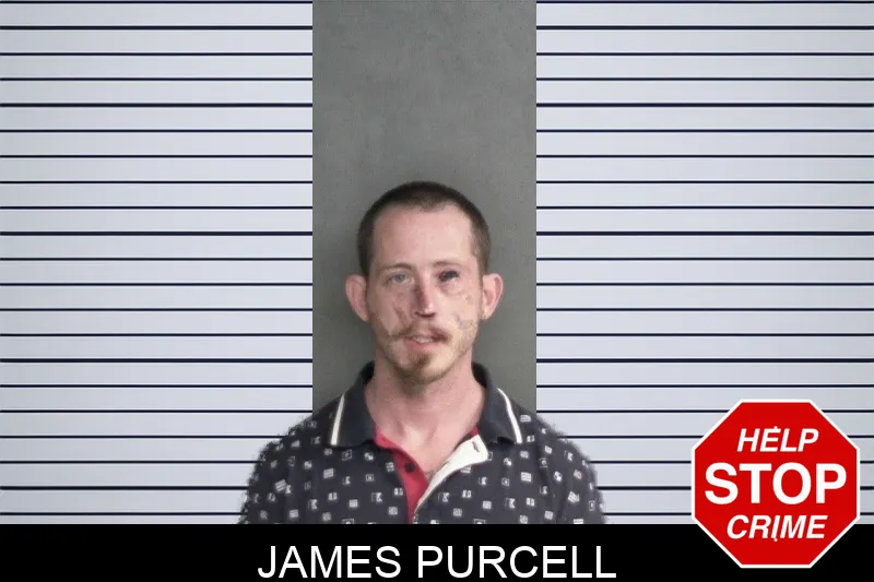 James Purcell mugshot – Twiggs County , Georgia James Purcell mugshot