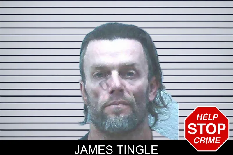 James Tingle mugshot
