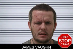 James Vaughn mugshot