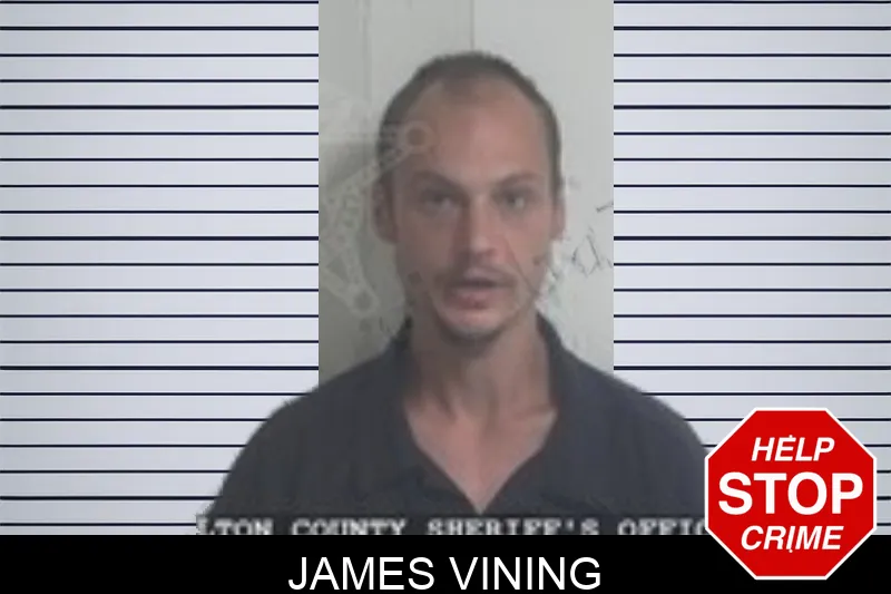 James Vining mugshot – Walton County , Georgia James Vining mugshot
