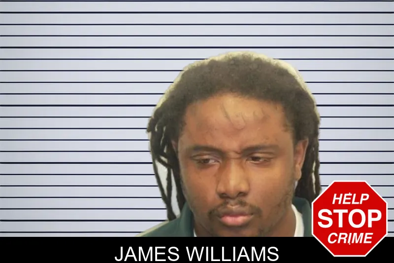 James Williams mugshot – Chatham County , Georgia James Williams mugshot