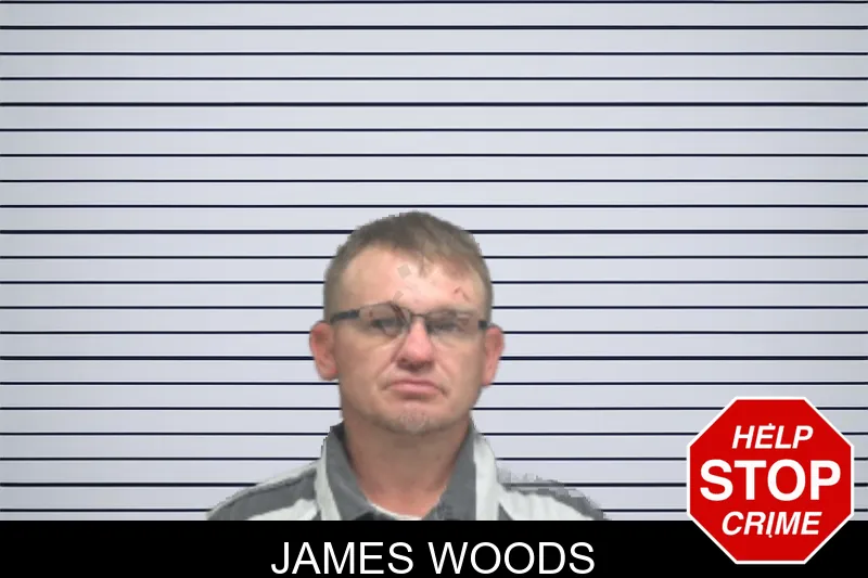 James Woods mugshot