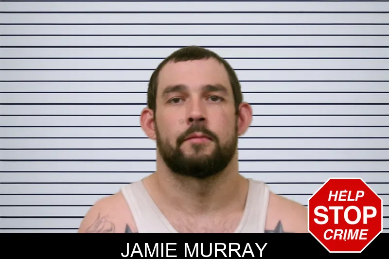 Jamie Murray mugshot – Bulloch County , Georgia Jamie Murray mugshot