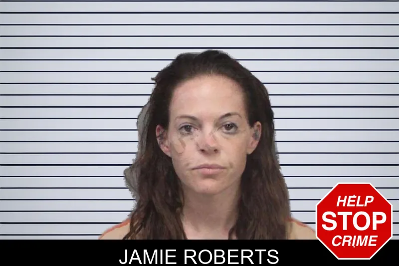 Jamie Roberts mugshot – White County , Georgia Jamie Roberts mugshot