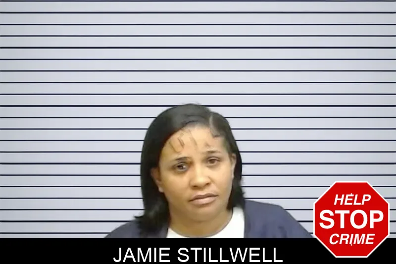 Jamie Stillwell mugshot – Fulton County , Georgia Jamie Stillwell mugshot